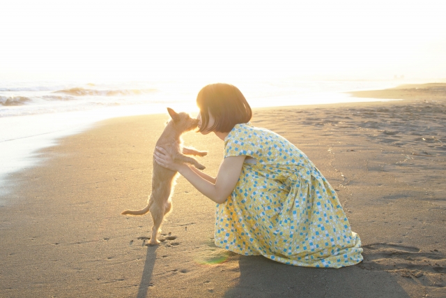 海の散歩