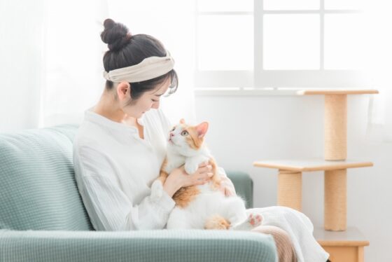 飼い主と猫