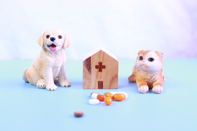 犬と猫の置物