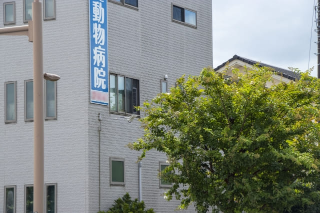 動物病院