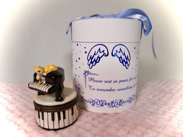 【新宿区】ペットの遺骨を置いてはいけない場所は?理由と適切な置き場所を解説